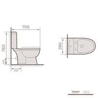 توالت فرنگی سرامیکی 2 تکه YS22210P، توالت شستشوی P-trap بسته.
