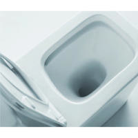 YS22251P 2 تکه توالت سرامیکی بدون حاشیه، توالت شستشوی P-trap;